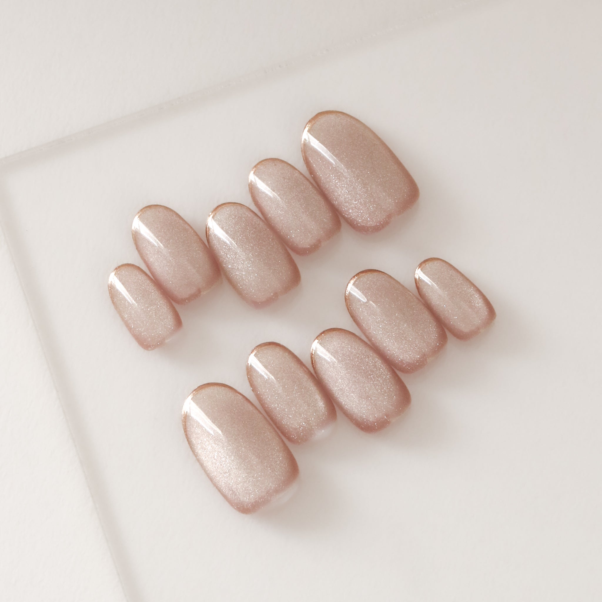 ripinail リピネイル evernail エバーネイル ネイルチップ RIPI NAIL